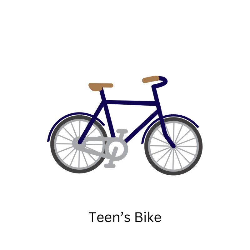 Teen's Bike